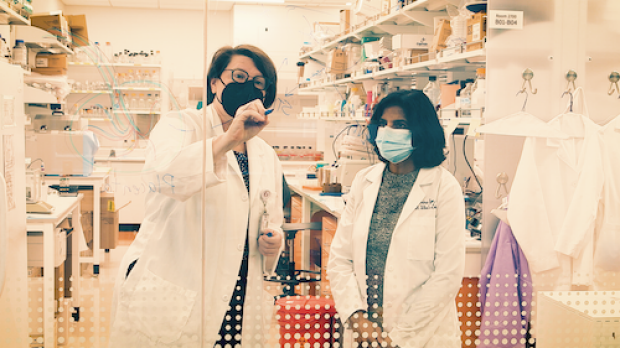 Dr. Winn and Purnima standing in front a glass writing in their lab coats, in the background is the lab. 